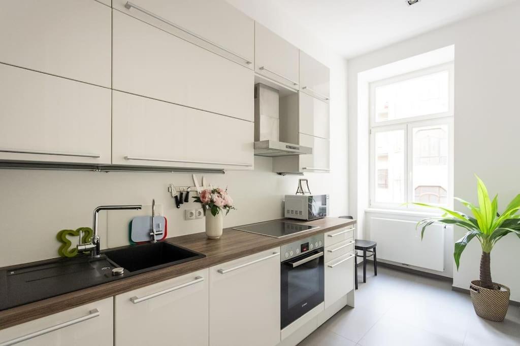 Franz 24 - Typical Viennese Apartment In The Heart Of Βιέννη Εξωτερικό φωτογραφία